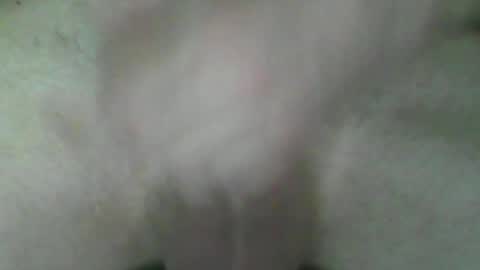 fry online show from July 2, 5:41 pm