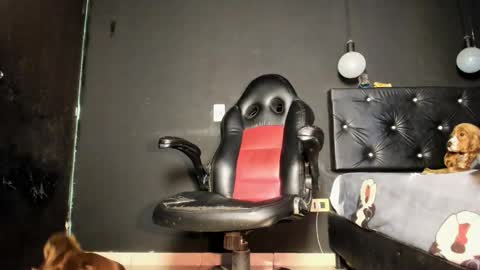Ricardodominic 1   MODELO INDEPENDIENTE online show from May 31, 2:42 am
