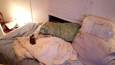 fuckmypussyplz1 online show from September 11, 2:55 am