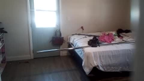 Snapshot of fuckroundfindout513116 chatting on January 29, 5:35 pm fuckroundfindout513116 online show from January 29, 5:35 pm