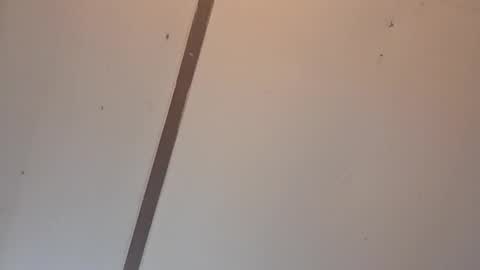 Snapshot of fulluforever chatting on April 3, 2:09 am Astrid online show from April 3, 2:09 am