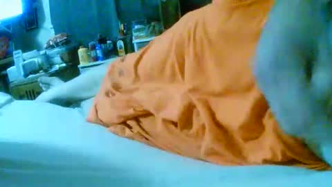 fultonstreet196860 online show from November 24, 2:22 am