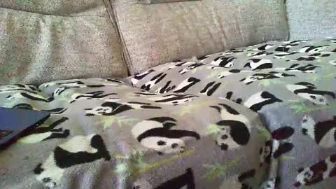 Funslimguy online show from December 30, 3:46 pm