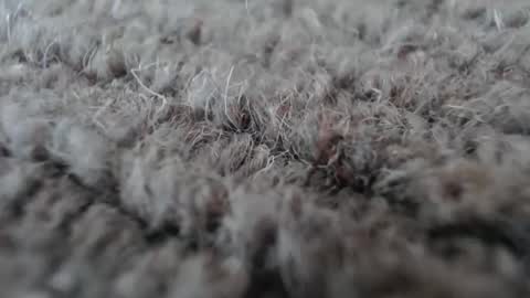 Mark online show from January 19, 5:11 am