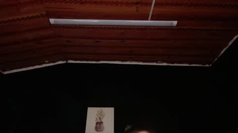 Snapshot of fyreandfox_ chatting on November 18, 6:56 pm FIRE AND FOX online show from November 18, 6:56 pm