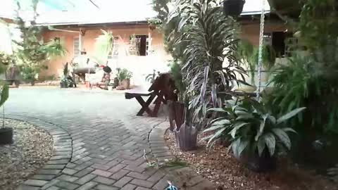 gaby  layla online show from January 31, 8:22 pm