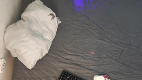 Snapshot of gabriel_olx chatting on December 2, 1:50 pm gabriel online show from December 2, 1:50 pm