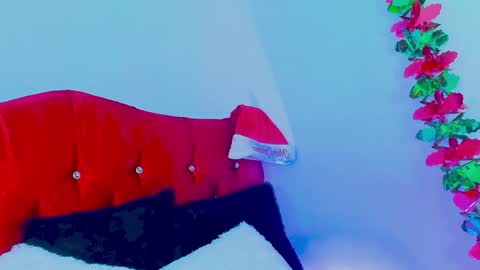 Snapshot of gabrielam_ms chatting on December 10, 10:26 pm Gabriela Evans MS online show from December 10, 10:26 pm
