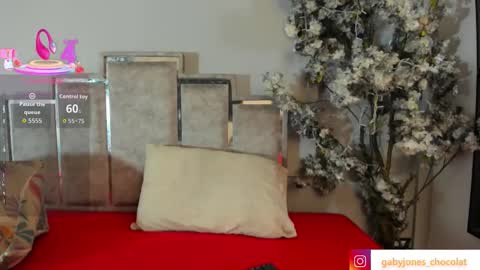 Snapshot of gabyyjones chatting on November 28, 11:24 am gabyyjones online show from November 28, 11:24 am