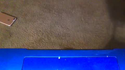 gangdrewski online show from March 6, 4:53 am