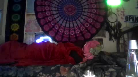 Gardenia online show from February 4, 7:36 am