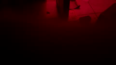 Snapshot of garrick358091 chatting on November 3, 4:25 am garrick358091 online show from November 3, 4:25 am