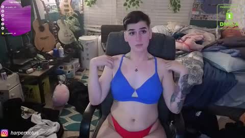 HarperxLotus online show from December 4, 2:54 am