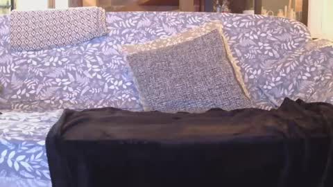 Snapshot of garybaker60 chatting on January 1, 8:47 pm Gaz online show from January 1, 8:47 pm