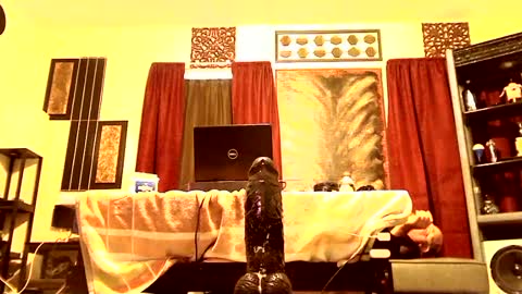 gatewaylaptop2019 online show from March 9, 2:10 pm