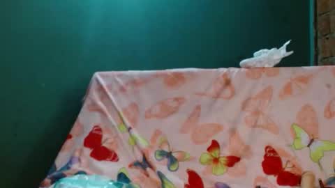 Snapshot of gatita_1997 chatting on November 10, 9:52 am estrella online show from November 10, 9:52 am