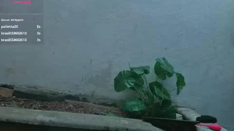 Snapshot of gaviluc_ chatting on July 28, 3:21 pm gaviluc_ online show from July 28, 3:21 pm