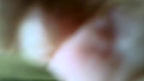 Snapshot of gazjones231 chatting on November 16, 12:22 pm gazjones231 online show from November 16, 12:22 pm