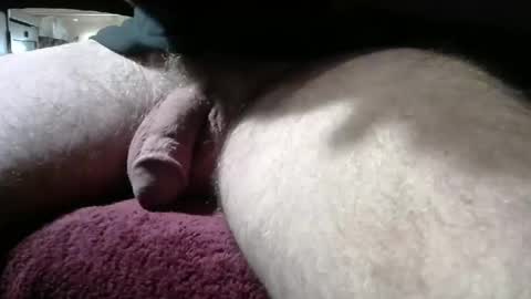 gemini_2 online show from February 24, 2:37 pm