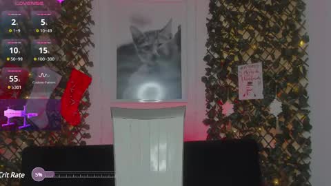 Snapshot of geminis_grey chatting on January 21, 6:54 am Geminis online show from January 21, 6:54 am