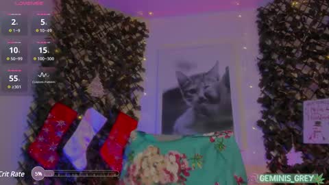 Snapshot of geminis_grey chatting on February 27, 7:12 am Geminis online show from February 27, 7:12 am