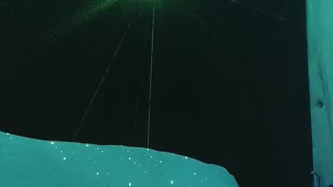 genitalwars online show from December 19, 7:21 pm