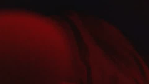 genitalwars online show from March 4, 2:17 am