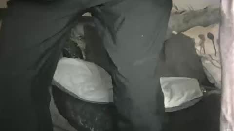 Geon online show from February 1, 11:14 pm