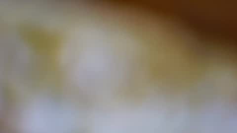 germanandy71 online show from November 10, 9:19 am