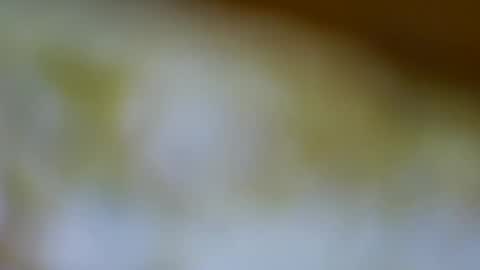 germanandy71 online show from November 17, 12:00 pm