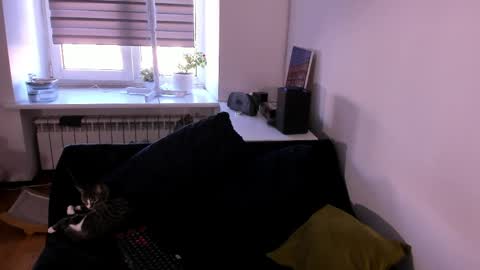 Snapshot of geserm chatting on April 1, 1:41 pm geserm online show from April 1, 1:41 pm