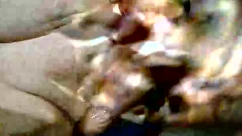 Snapshot of ghost1805 chatting on October 29, 9:16 pm ghost1805 online show from October 29, 9:16 pm