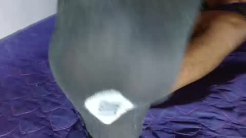 Snapshot of giant_feet chatting on August 5, 10:23 pm BOSS online show from August 5, 10:23 pm