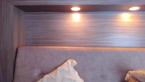 gigi wilden online show from September 10, 2:06 pm