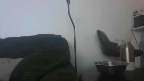 WildBoyVibes online show from February 24, 6:33 am