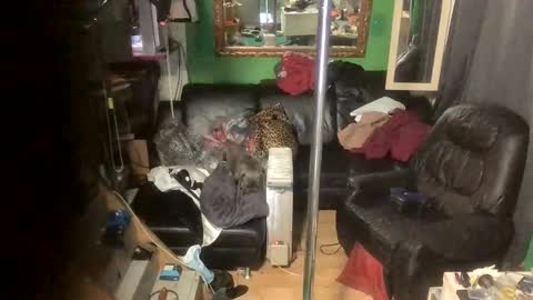 Snapshot of ginagender chatting on November 24, 7:13 pm GinaGender online show from November 24, 7:13 pm