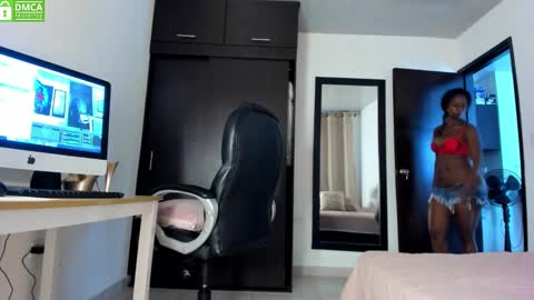 Snapshot of ginger_smil chatting on January 11, 4:46 pm Diana online show from January 11, 4:46 pm