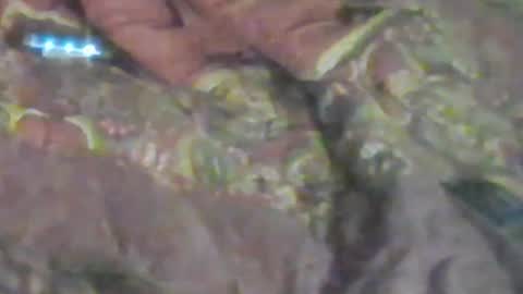 lovegirlscallme online show from January 17, 8:52 am