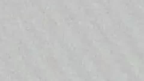 Snapshot of gissy_palmer chatting on April 23, 11:53 am Gissy online show from April 23, 11:53 am