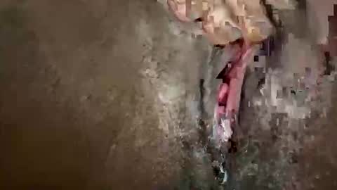 Snapshot of glazehoney chatting on October 28, 3:25 pm glazehoney online show from October 28, 3:25 pm