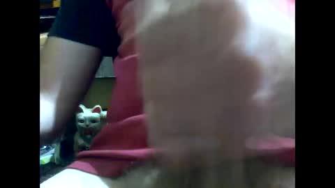 Snapshot of gmjavenger chatting on January 17, 8:45 am PencilDick online show from January 17, 8:45 am