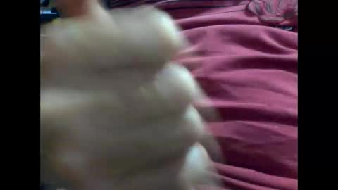 Snapshot of gmjavenger chatting on February 9, 8:54 am PencilDick online show from February 9, 8:54 am