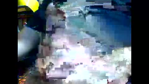 Snapshot of gmjavenger chatting on November 21, 9:08 am PencilDick online show from November 21, 9:08 am