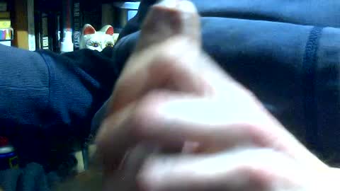 PencilDick online show from July 24, 10:13 am