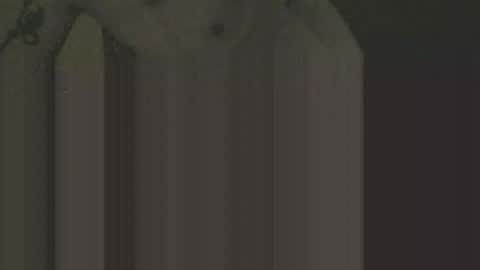 gnz310388 online show from February 12, 1:11 am