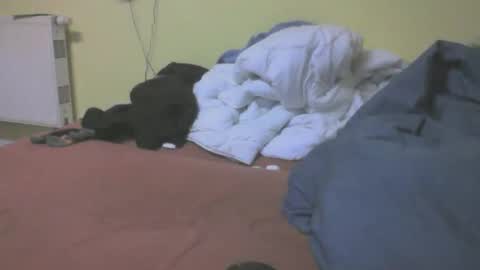 gnz310388 online show from March 4, 7:20 pm