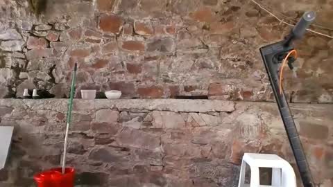 Snapshot of goddess_carrie chatting on August 2, 11:52 am GoddessCarrie online show from August 2, 11:52 am