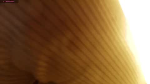 M A R T I N A  online show from January 12, 7:19 pm