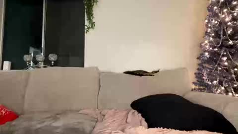 GoddessMayvn online show from December 26, 3:59 am