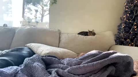 GoddessMayvn online show from January 7, 11:03 pm